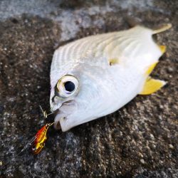 早朝から夕方まで1日仕事~