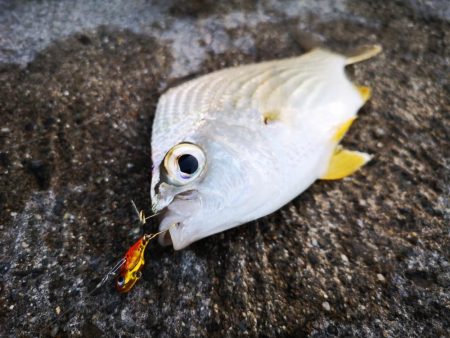 早朝から夕方まで1日仕事~