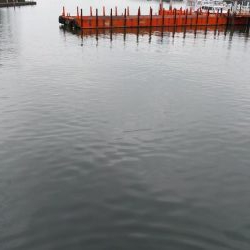 入れ食いの横で