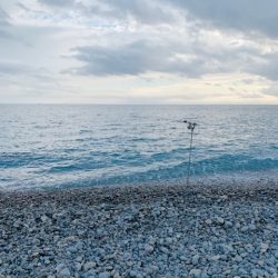 うねり・うねりの３連ちゃん。「鬼アワセでブッコ抜け」と脳はおっしゃっておりますが・・・