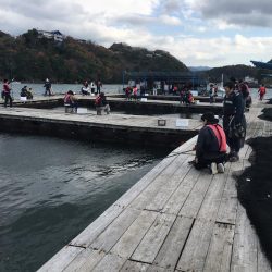 イサギ2匹（29㎝）、マダイ（26㎝）