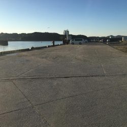 尺アジとコノシロ31㎝