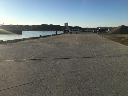 尺アジとコノシロ31㎝