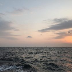 ロックフィッシュショート便で初釣り爆釣♪