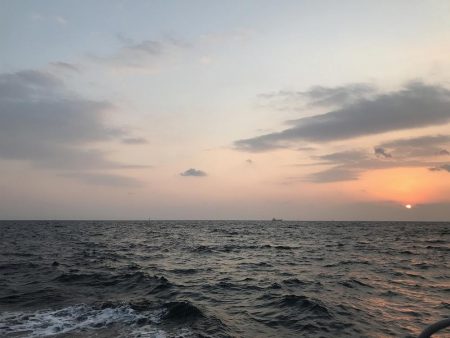 ロックフィッシュショート便で初釣り爆釣♪