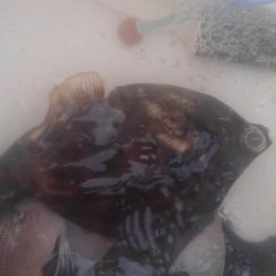 まだまだ温度が高い