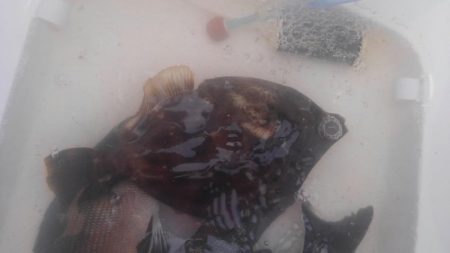 まだまだ温度が高い