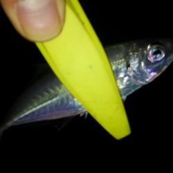 今年初ライトゲーム!