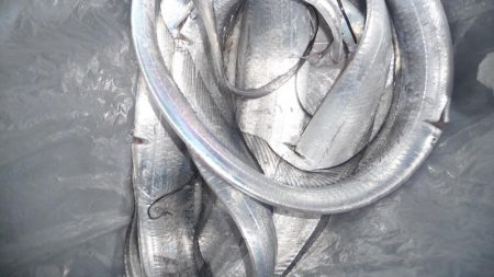 ドラゴンにワイヤー切られ；；