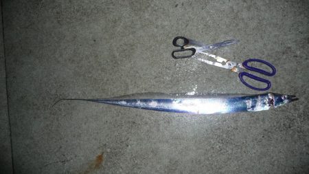 周りは釣れてても自分は釣れない；；