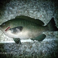 釣り日和