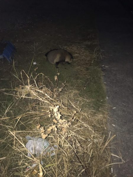 簡単なんでも釣り仕掛け
