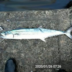 もう、春なんですね！