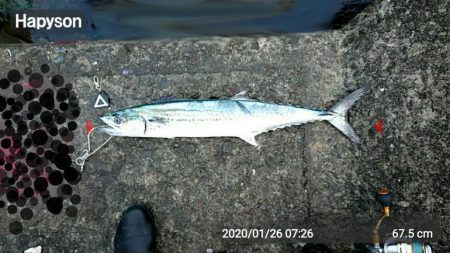 もう、春なんですね！