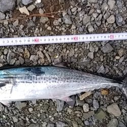 サーフトローリング