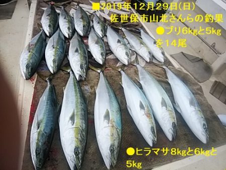 大物釣果速報！●光義丸：平戸市早福港