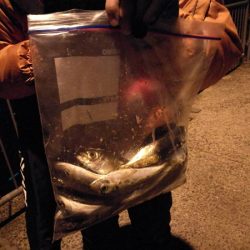 アジ狙いサビキ釣り