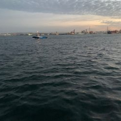 風の強い中メバリング