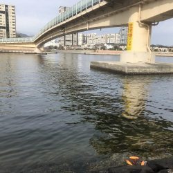 エビ撒き釣りは難しい