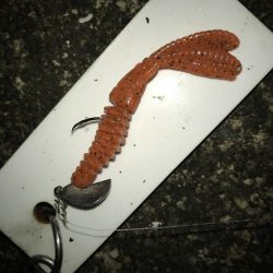 1月24日ラインブレイクのバラシはアカン