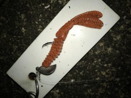 1月24日ラインブレイクのバラシはアカン