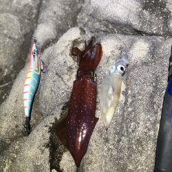 冬でも釣れたよ！