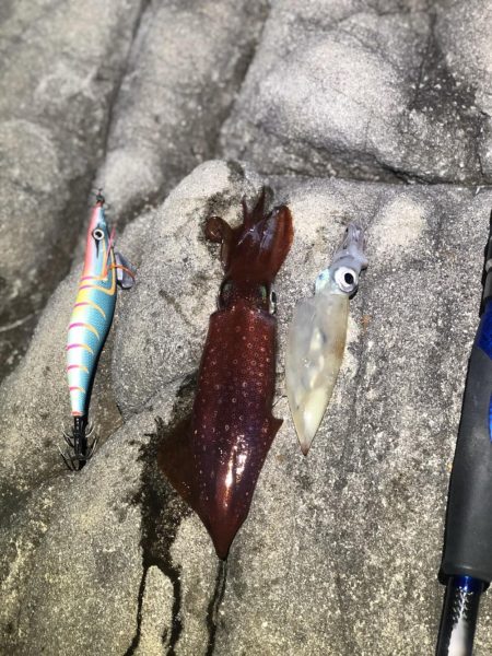 冬でも釣れたよ！