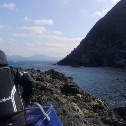 尾長グレとチヌ