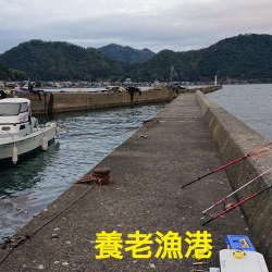 スーパーのアジで浮き釣り