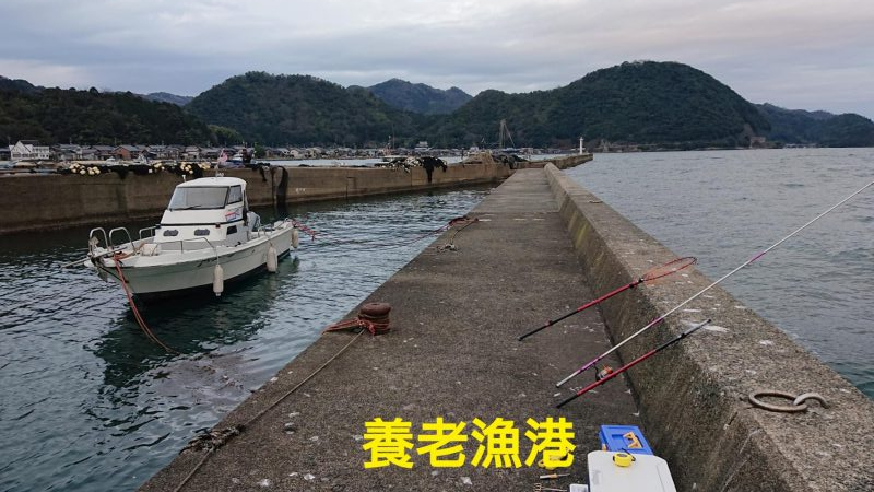 スーパーのアジで浮き釣り