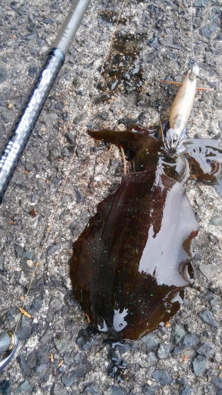 令和2年初調査～⤴