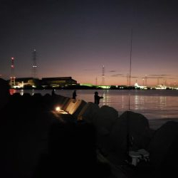 青物終わった！？