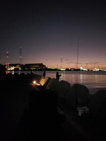 青物終わった！？