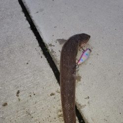 おじさんに一言…