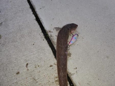 おじさんに一言…