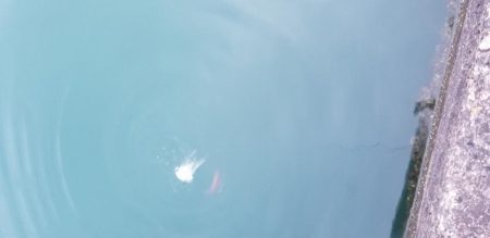 新ロッドでアジング