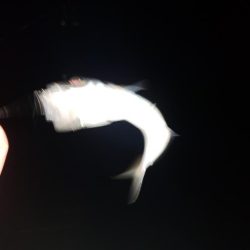 え？こんな所に？