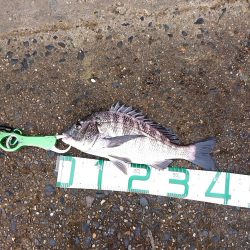 何かが釣れる気配で……