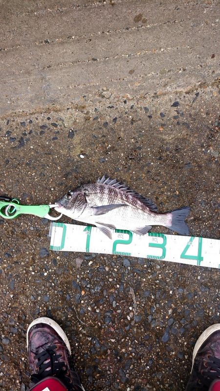 何かが釣れる気配で……