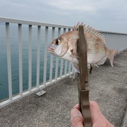 小物釣り
