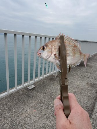 小物釣り