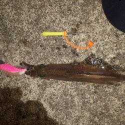 クタクタになりながら6つ目の漁港