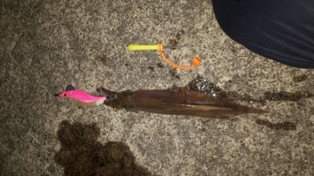 クタクタになりながら6つ目の漁港