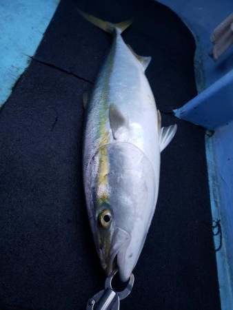 今年初ジギング‼࿠…