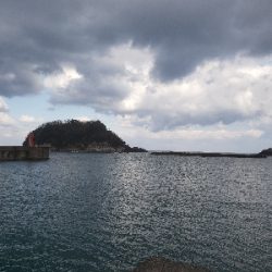 カレイを求めて