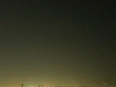 久しぶりにお魚さんに会いたくて！