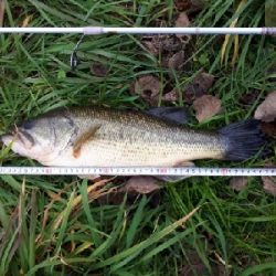 真冬の紀の川本流バス！！