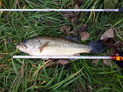 真冬の紀の川本流バス！！