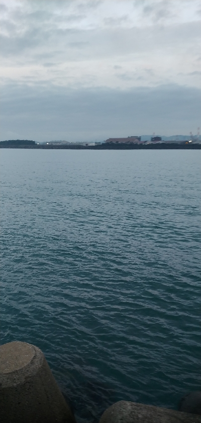 フラットフィッシュ