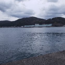 根魚はやっぱりいいよねー